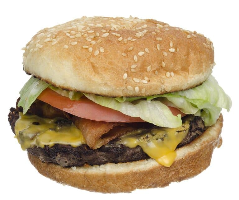 3. The Cheeseburger