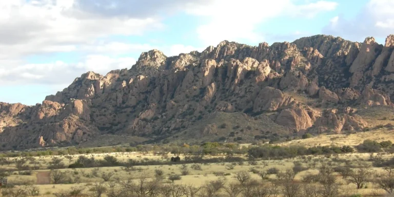 The Courage of Cochise
