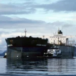 The Exxon Valdez Oil Spill, Short-term and Long-term Effects