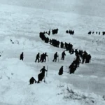 Exploring the Arctic with Robert Peary