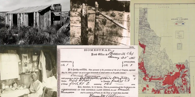 History and the Impact of the Homestead Act