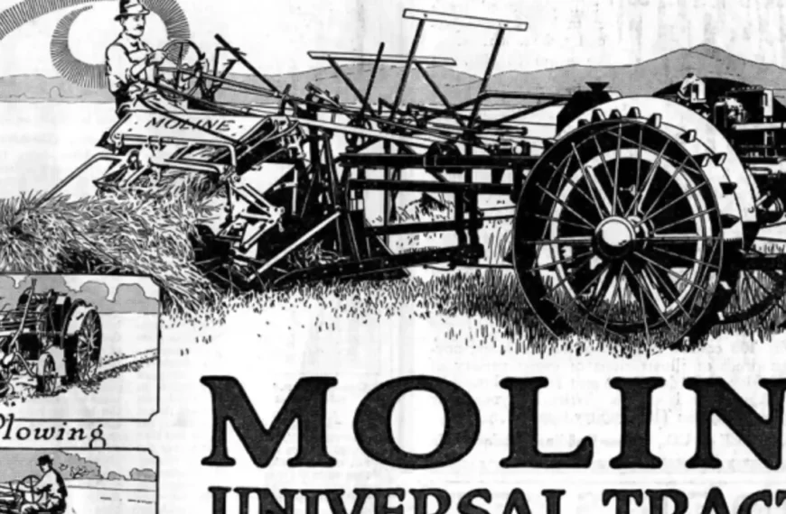 The Agricultural Depression of the 1920s and Its Aftermath