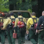 Fighting Fires with Hotshots