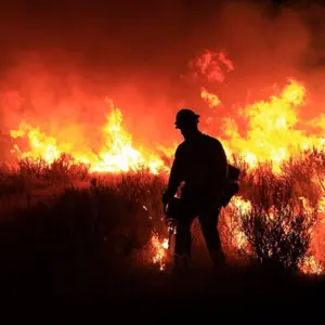 Fighting Fires with Hotshots
